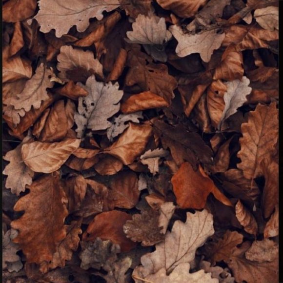 Cream & Black chiffon long sleeve blouse.Faux leather details. p2p- 18"length-26 - Picture 1 of 2